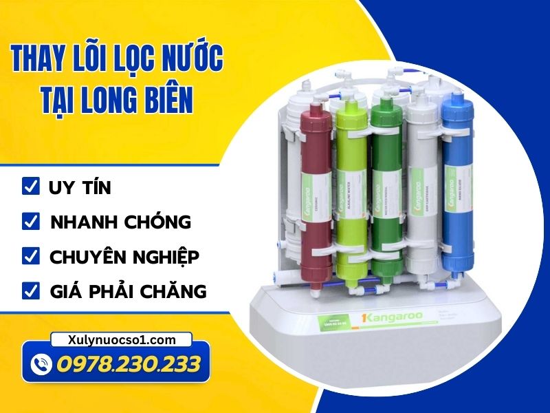 thay loi loc nuoc tai long bien