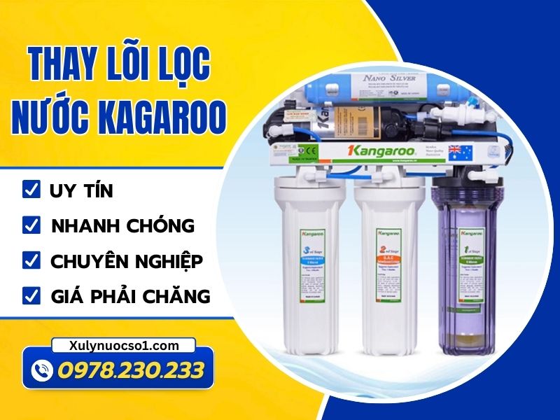 Thay lõi lọc nước Kangaroo uy tín của Xulynuocso1