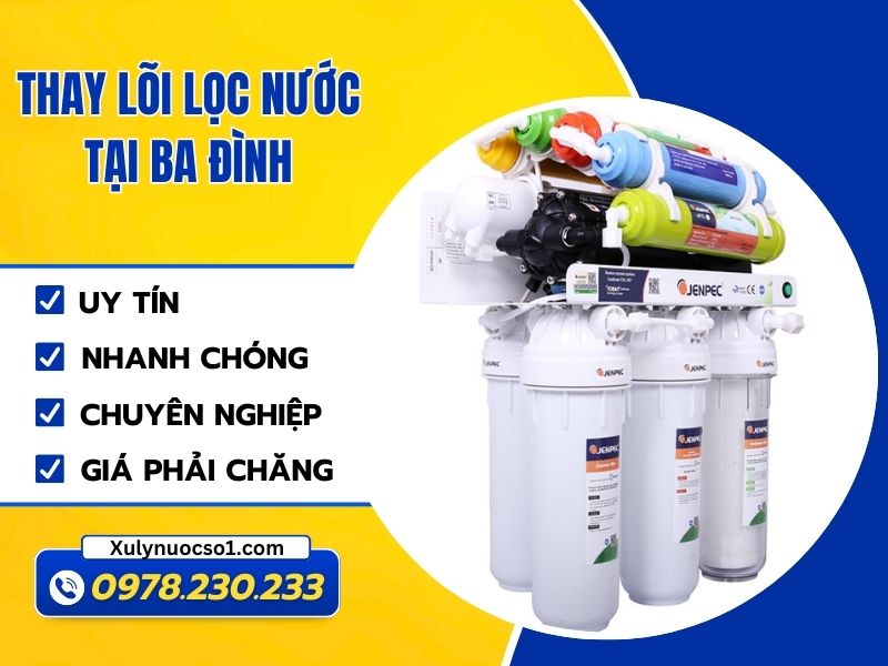 Thay lõi lọc nước tại Ba Đình – Giải pháp cho sức khỏe!