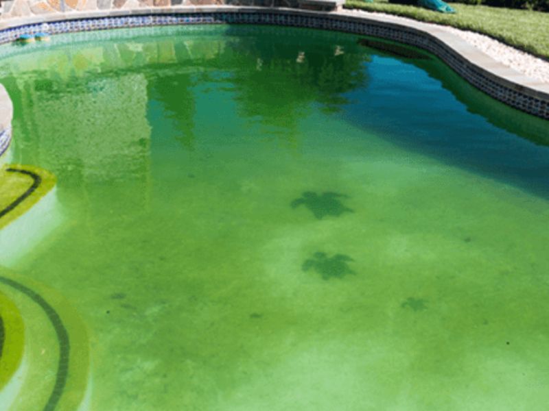 Lý do cần xử lý nước bể bơi thường xuyên 